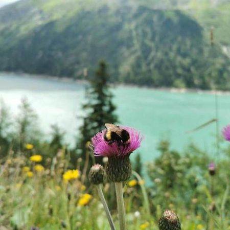 Haus Dora Apartment 2 Penken Mayrhofen Εξωτερικό φωτογραφία